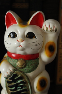 Kumpulan Hewan Hewan Lucu & Unik: Nama Kucing Lucu Jepang ...